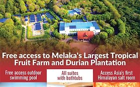 The Orchard Resort & Spa Melaka I World Spa Awards Winner I Free Access To Outdoor Spa Pool
